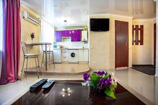 Апартаменты New studio 2019 Николаев Апартаменты с 1 спальней-11