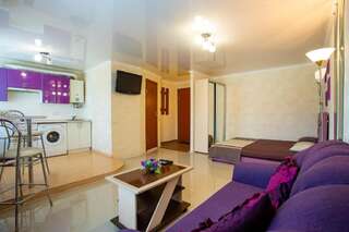 Апартаменты New studio 2019 Николаев Апартаменты с 1 спальней-12